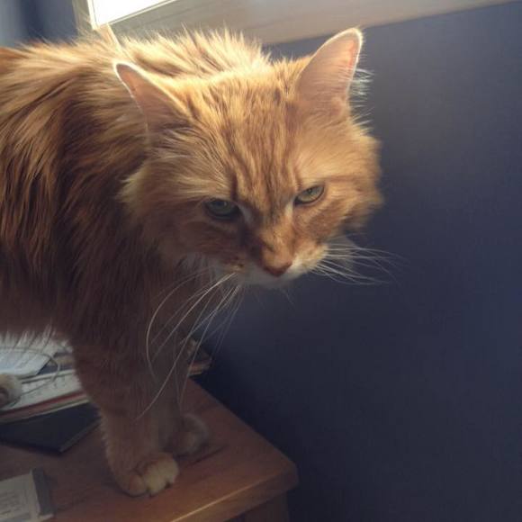 Meet your Posher, Andrew - Picture 1 of 1